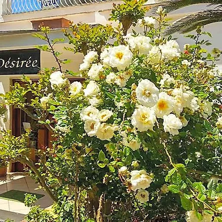 Desiree Hotel 2*