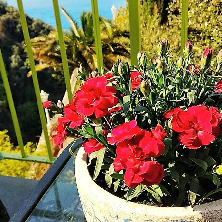 Hotel Desiree Sorrento