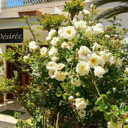Desiree Hotel